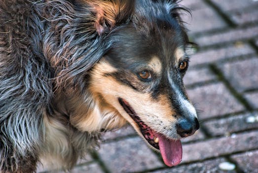 Jak Získat Nejvíce z Věrnostních Bodů v Kasinu: Průvodce