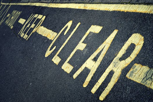 Kompletní Průvodce Světem Živých Sázek a Jejich Dynamikou